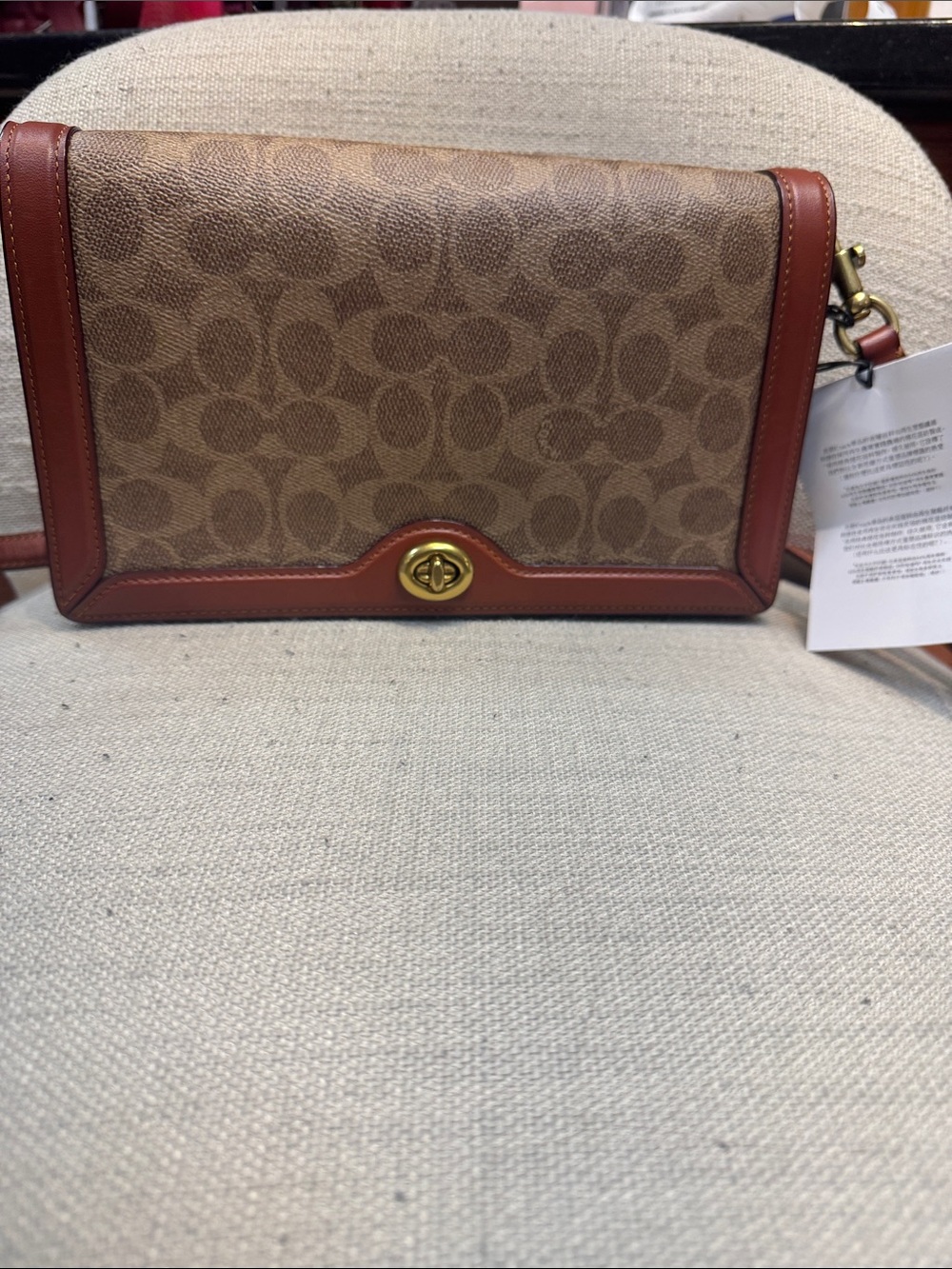 Coach Signature Riley  Crossbody Bag in Rust color